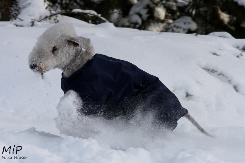 2010-12-25 Airis Blue Volshebny Svet (8).jpg